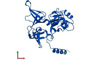 AlphaFold protein structure predicition of Human Recombinant RPS4Y1 Protein, UniprotID P22090