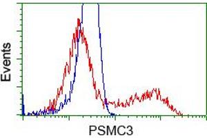 Image no. 5 for anti-Proteasome (Prosome, Macropain) 26S Subunit, ATPase, 3 (PSMC3) antibody (ABIN1501331) (PSMC3 anticorps)