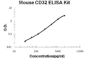 Mouse CD32/FCGR2b/c PicoKine ELISA Kit standard curve