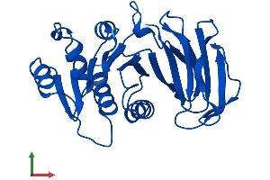 AlphaFold protein structure predicition of Human Recombinant TPK1 Protein, UniprotID Q9H3S4