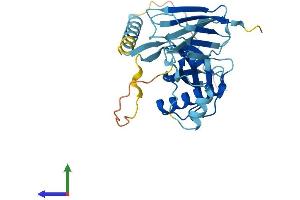 AlphaFold protein structure predicition of Mouse Recombinant Pih1d1 Protein, UniprotID Q9CQJ2