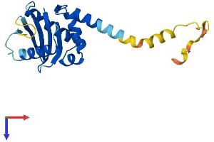 AlphaFold protein structure predicition of Human Recombinant AP3S2 Protein, UniprotID P59780