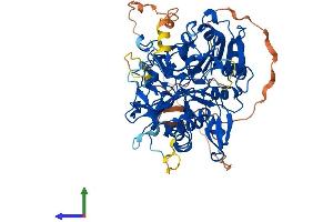 AlphaFold protein structure predicition of Mouse Recombinant Tdp1 Protein, UniprotID Q8BJ37