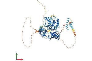 AlphaFold protein structure predicition of Human Recombinant HBS1L Protein, UniprotID Q9Y450