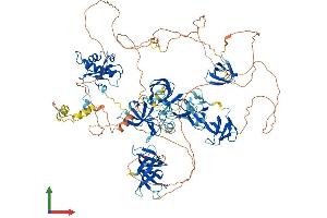 AlphaFold protein structure predicition of Human Recombinant SUPT5H Protein, UniprotID O00267