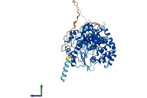 AlphaFold protein structure predicition of Human Recombinant GALNT10 Protein, UniprotID Q86SR1