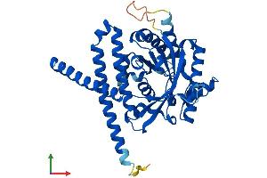 AlphaFold protein structure predicition of Human Recombinant LPGAT1 Protein, UniprotID Q92604