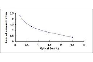 Image no. 1 for Albumin (ALB) ELISA Kit (ABIN1873426)