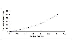 Typical standard curve (GFOD1 Kit ELISA)