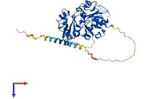 AlphaFold protein structure predicition of Human Recombinant FUT5 Protein, UniprotID Q11128
