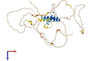AlphaFold protein structure predicition of Human Recombinant SSBP4 Protein, UniprotID Q9BWG4
