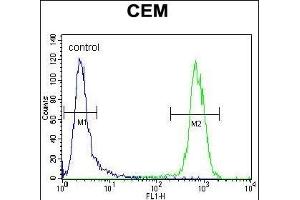 PON1 Antibody (Center) (ABIN654641 and ABIN2844338) flow cytometric analysis of CEM cells (right histogram) compared to a negative control cell (left histogram). (PON1 anticorps  (AA 118-145))
