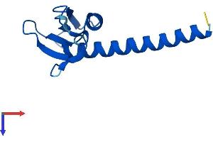 AlphaFold protein structure predicition of Human Recombinant POLR2J Protein, UniprotID P52435