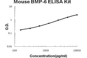 Mouse BMP-6 PicoKine ELISA Kit standard curve (BMP6 Kit ELISA)