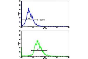 Flow cytometric analysis of HepG2 cells using CD82 polyclonal antibody (bottom histogram) compared to a negative control cell (top histogram). (CD82 anticorps  (C-Term))