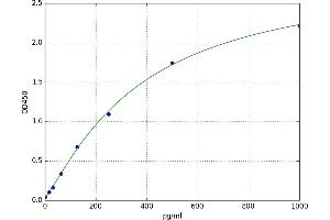 Slow Skeletal Troponin T (TNNT1) ELISA Kit