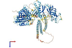 AlphaFold protein structure predicition of Human Recombinant KIF28P Protein, UniprotID B7ZC32
