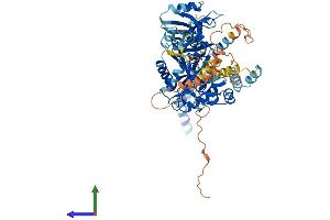 AlphaFold protein structure predicition of Human Recombinant MPP4 Protein, UniprotID Q96JB8