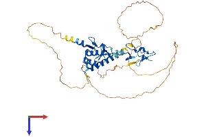 AlphaFold protein structure predicition of Mouse Recombinant Lhx1 Protein, UniprotID P63006
