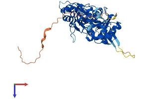 Actin-Like 9 (ACTL9) (AA 1-416) protein (His tag)