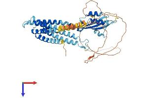 AlphaFold protein structure predicition of Human Recombinant SLC30A10 Protein, UniprotID Q6XR72