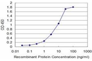 Detection limit for recombinant GST tagged HCLS1 is approximately 0. (HCLS1 anticorps  (AA 266-355))