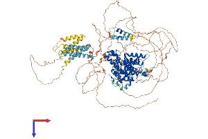 AlphaFold protein structure predicition of Human Recombinant PDE3A Protein, UniprotID Q14432