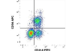 Flow cytometry multicolor surface staining of human lymphocytes stained using anti-human CD314 (1D11) FITC antibody (4 μL reagent / 100 μL of peripheral whole blood) and anti-human CD56 (LT56) APC antibody (10 μL reagent / 100 μL of peripheral whole blood). (KLRK1 anticorps  (FITC))