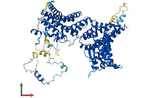 AlphaFold protein structure predicition of Mouse Recombinant Naa35 Protein, UniprotID Q6PHQ8