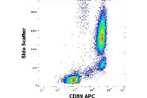 Flow cytometry surface staining pattern of human peripheral whole blood stained using anti-human CD89 (A59) APC antibody (10 μL reagent / 100 μL of peripheral whole blood). (FCAR anticorps  (APC))