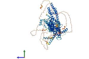 AlphaFold protein structure predicition of Human Recombinant TRPC4 Protein, UniprotID Q9UBN4