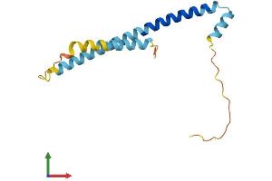 AlphaFold protein structure predicition of Mouse Recombinant Tsc22d3 Protein, UniprotID Q9Z2S7