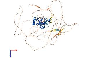 AlphaFold protein structure predicition of Human Recombinant KMT5B Protein, UniprotID Q4FZB7