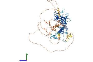 AlphaFold protein structure predicition of Human Recombinant JADE1 Protein, UniprotID Q6IE81