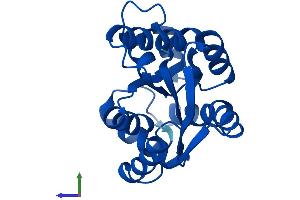 AlphaFold protein structure predicition of Mouse Recombinant Cmpk1 Protein, UniprotID Q9DBP5