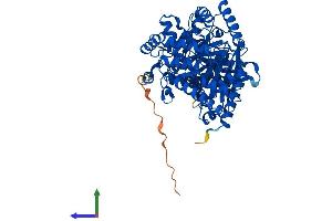 AlphaFold protein structure predicition of Human Recombinant CRAT Protein, UniprotID P43155