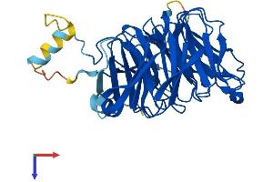 AlphaFold protein structure predicition of Mouse Recombinant Arpc1a Protein, UniprotID Q9R0Q6