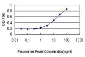 Detection limit for recombinant GST tagged SMAD3 is approximately 1ng/ml as a capture antibody. (SMAD3 anticorps  (AA 1-110))