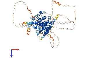 AlphaFold protein structure predicition of Human Recombinant MTMR14 Protein, UniprotID Q8NCE2