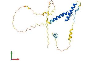 AlphaFold protein structure predicition of Human Recombinant HAND1 Protein, UniprotID O96004