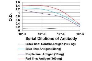 ELISA analysis of PLA2G12A monoclonal antibody, clone 3H2C11  at 1:10000 dilution.