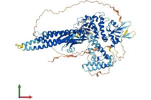 AlphaFold protein structure predicition of Human Recombinant STAT2 Protein, UniprotID P52630