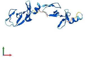 AlphaFold protein structure predicition of Human Recombinant LMO1 Protein, UniprotID P25800