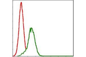 Flow cytometric analysis of Jurkat cells using GSTM1 mouse mAb (green) and negative control (red).