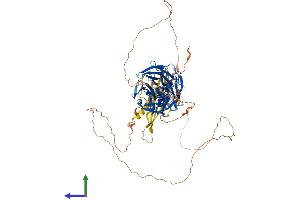 AlphaFold protein structure predicition of Mouse Recombinant Klhdc7a Protein, UniprotID A2APT9