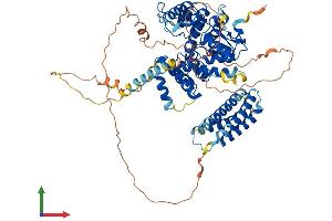 AlphaFold protein structure predicition of Mouse Recombinant Git2 Protein, UniprotID Q9JLQ2