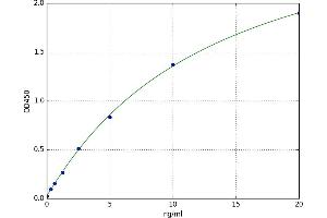 Biliverdin Reductase A (BLVRA) ELISA Kit