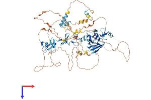 AlphaFold protein structure predicition of Mouse Recombinant Ldb3 Protein, UniprotID Q9JKS4