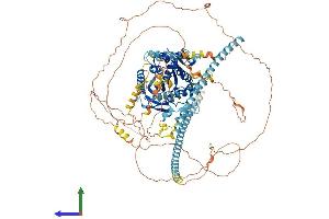 AlphaFold protein structure predicition of Mouse Recombinant Kif17 Protein, UniprotID Q99PW8