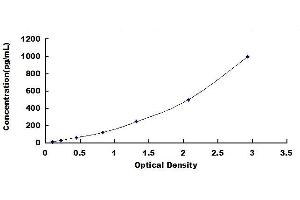 Typical standard curve (CCL7 Kit ELISA)